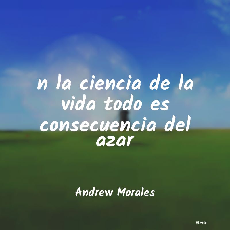 Frases de Andrew Morales