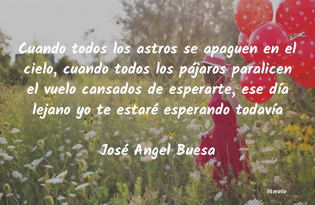 frases de José Angel Buesa