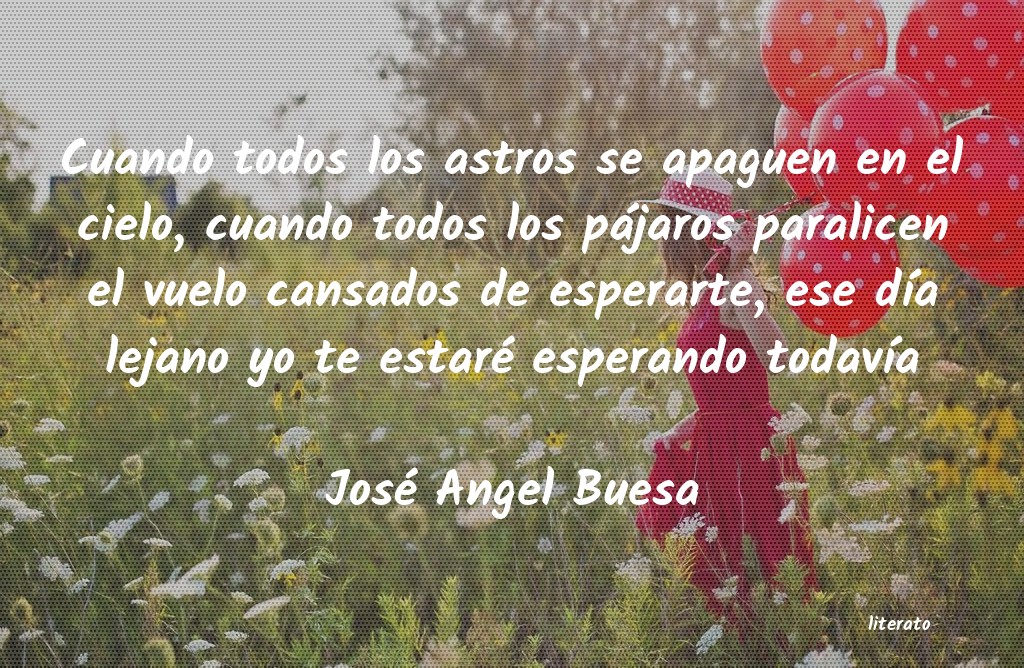 Frases de José Angel Buesa