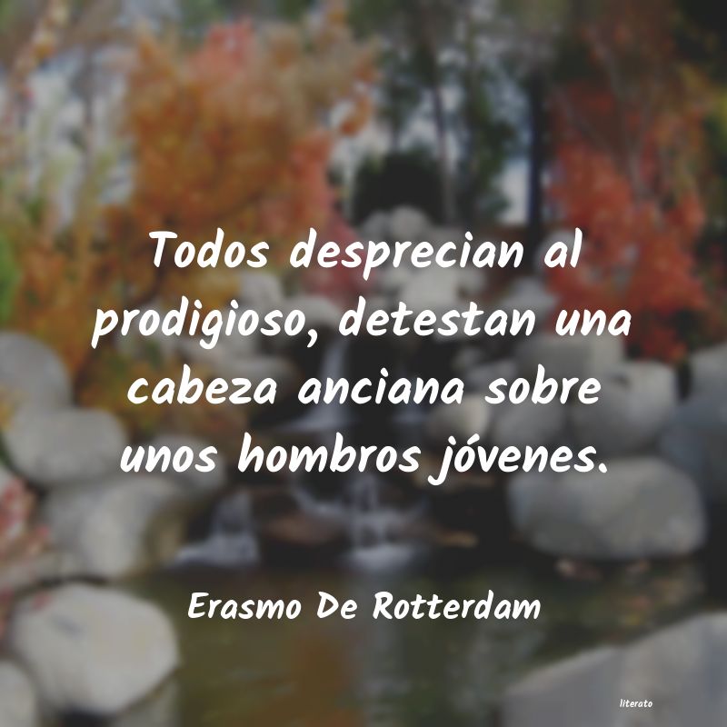 Frases de Erasmo De Rotterdam