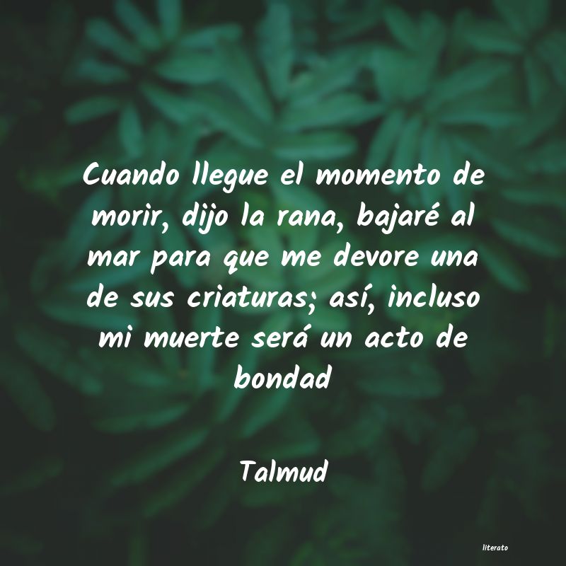 Frases de Talmud