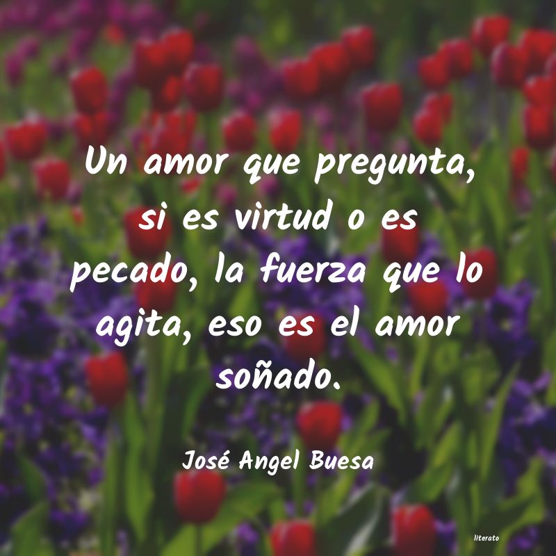 Frases de José Angel Buesa