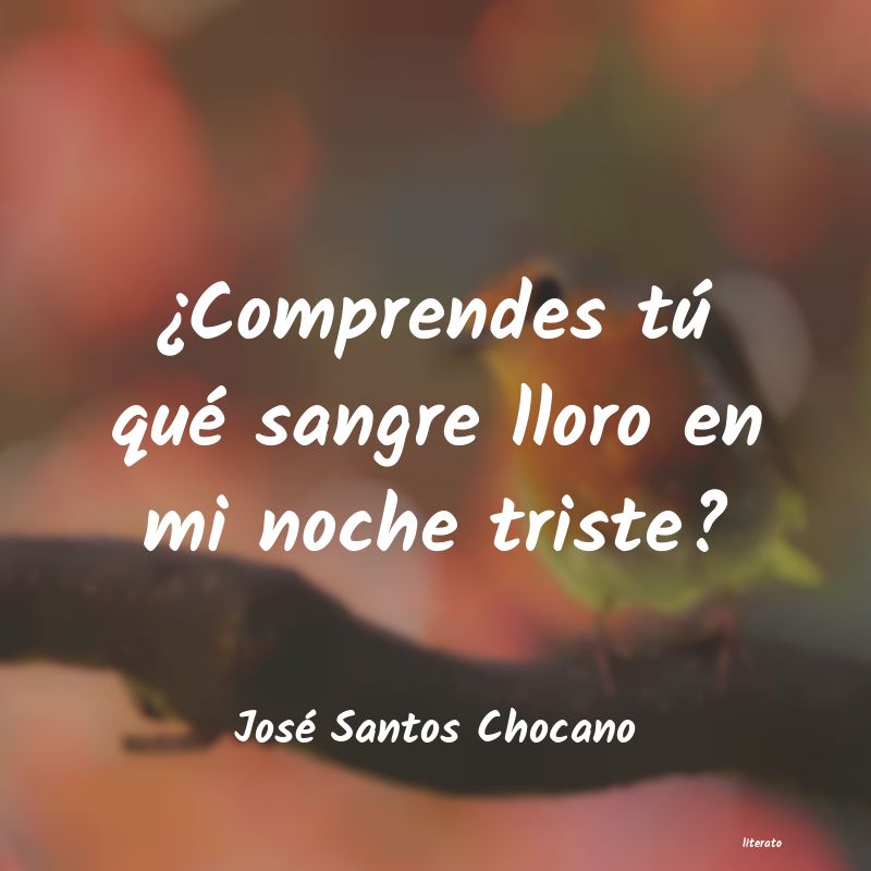Frases de José Santos Chocano