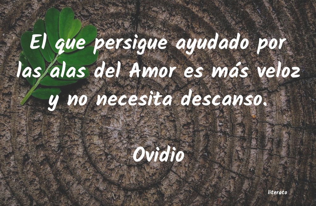 frases de Ovidio