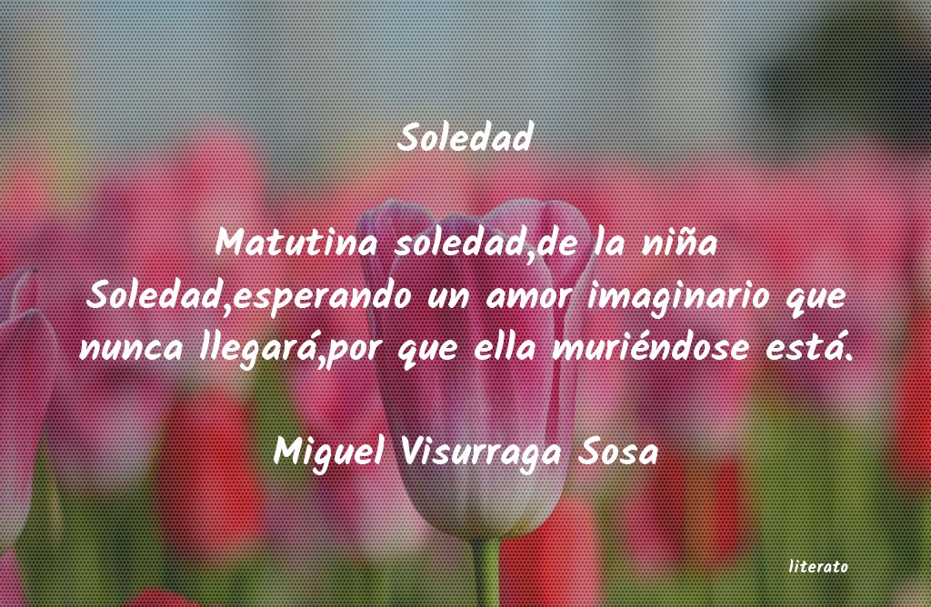 frases de Miguel Visurraga Sosa
