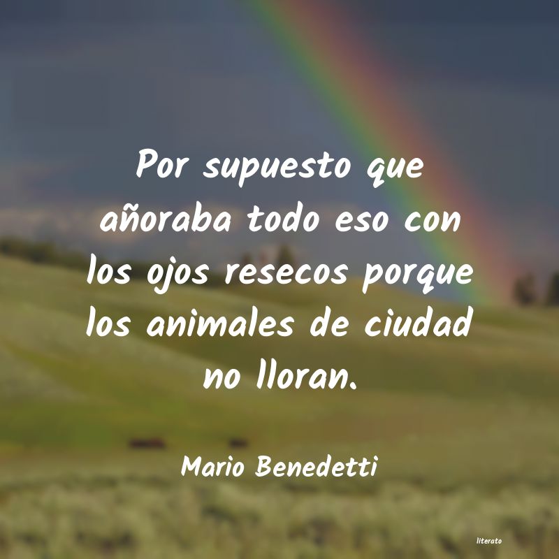 frases de Mario Benedetti