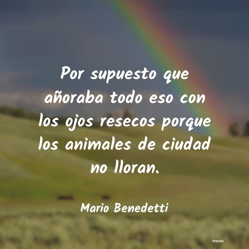 frases cortas de mario benedetti sobre la ausencia