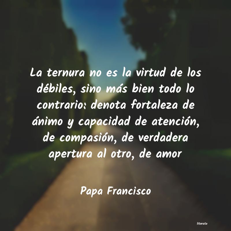 Frases de Papa Francisco