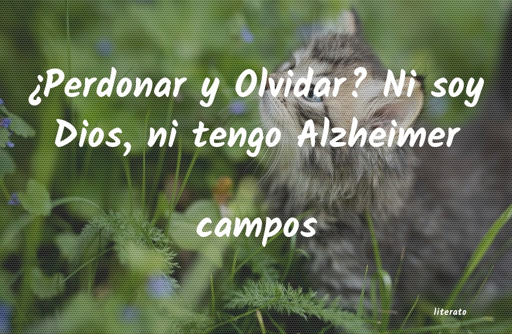 frases de campos