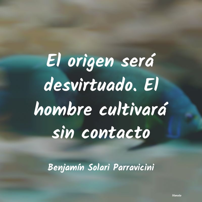 Frases de Benjamín Solari Parravicini