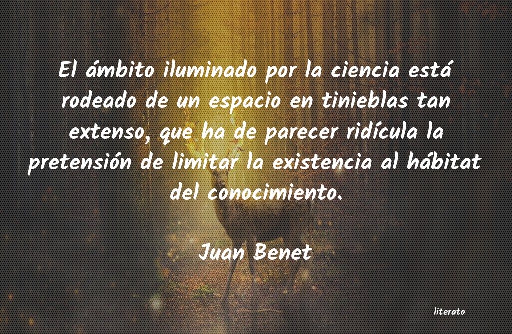 Frases de Juan Benet