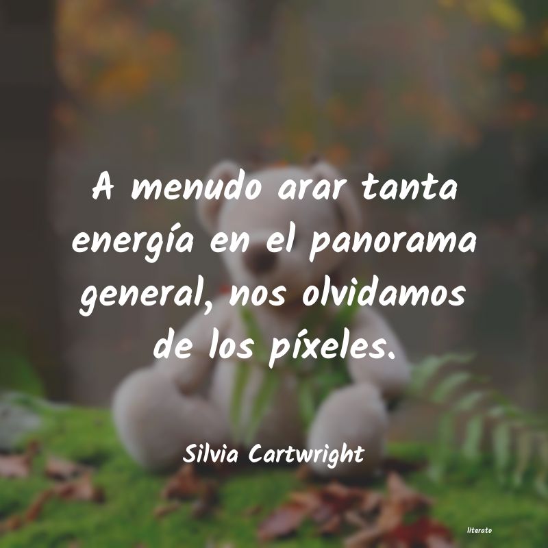 Frases de Silvia Cartwright