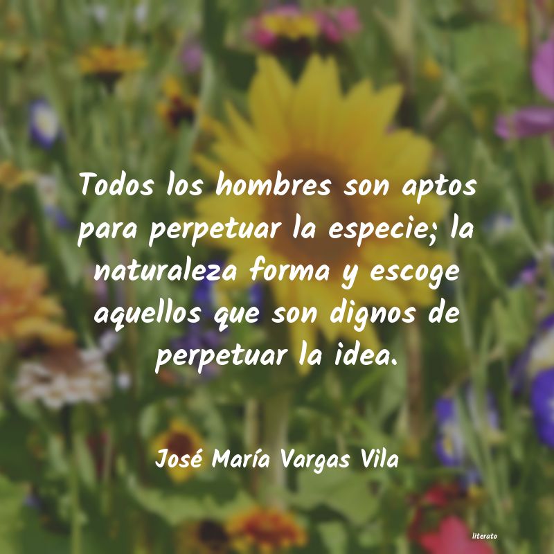 Frases de José María Vargas Vila