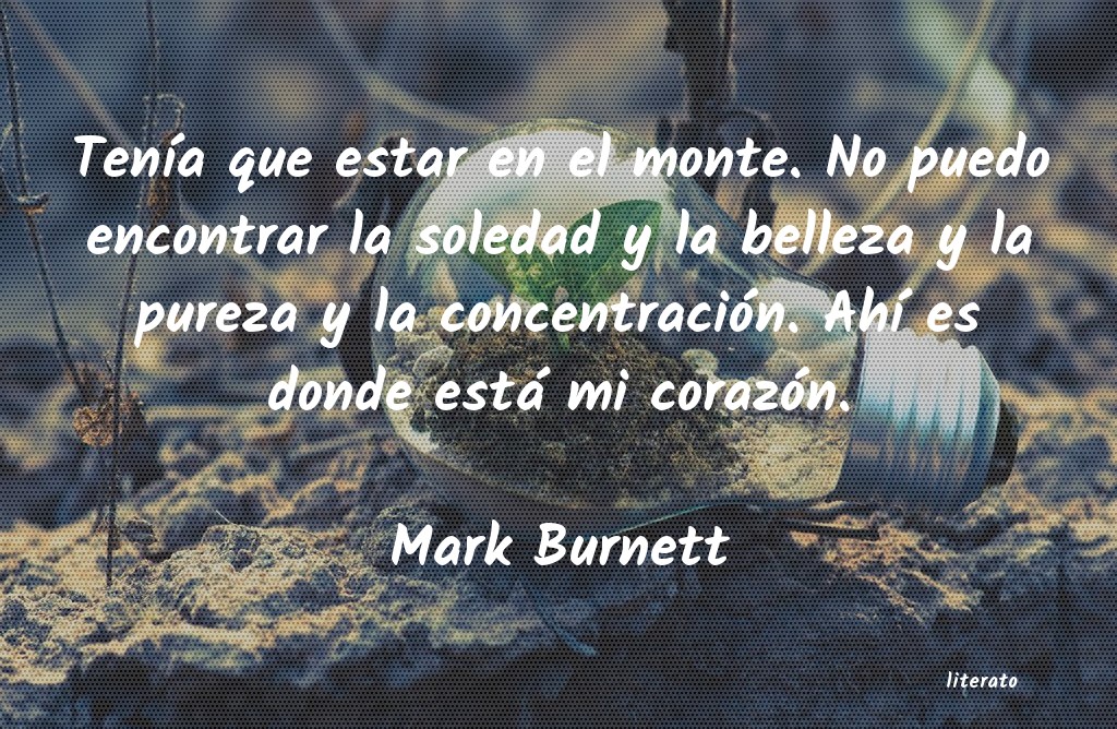 Frases de Mark Burnett