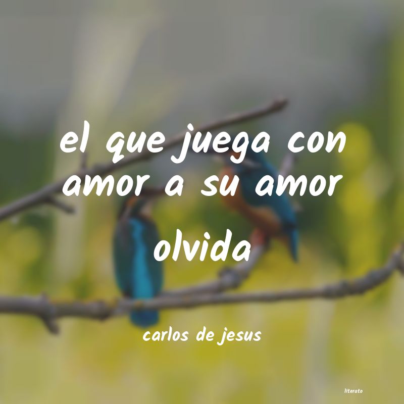 frases de carlos de jesus