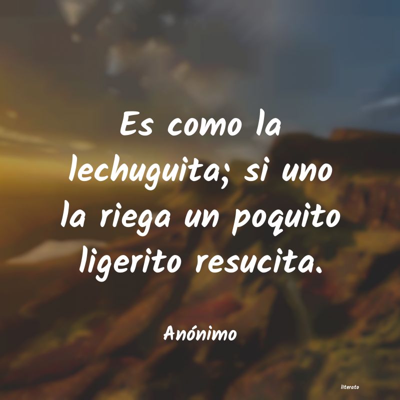 frases