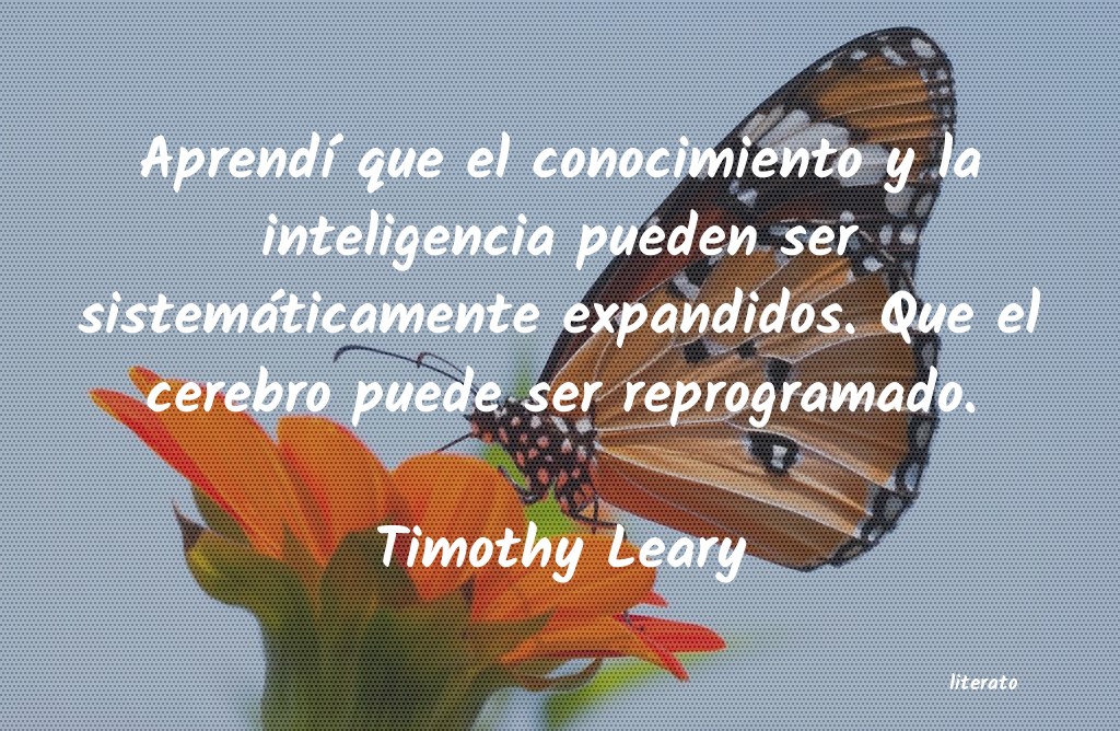 frases de Timothy Leary