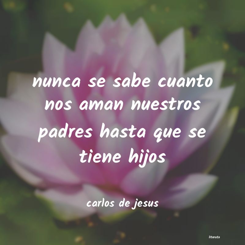 frases de carlos de jesus