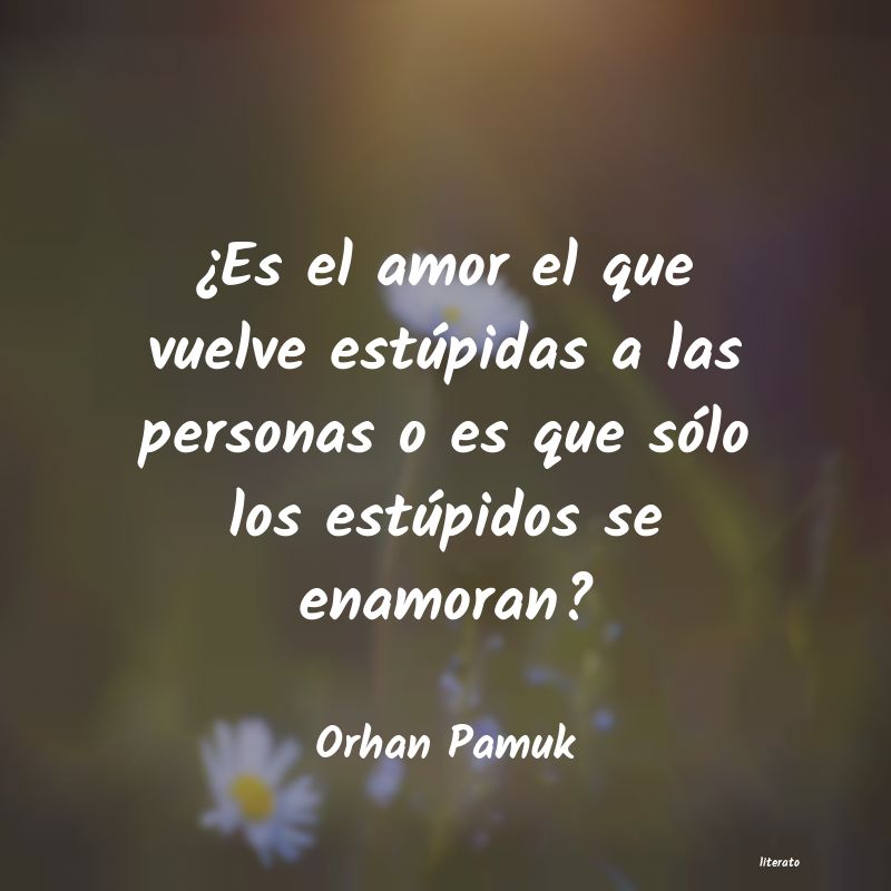 Frases de Orhan Pamuk