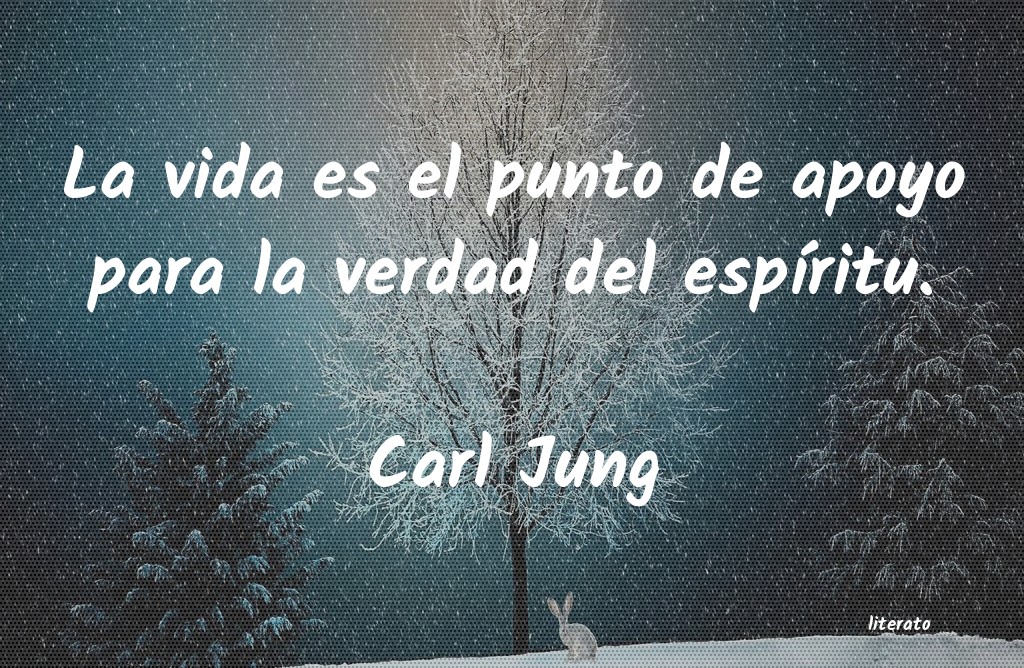 Frases de Carl Jung