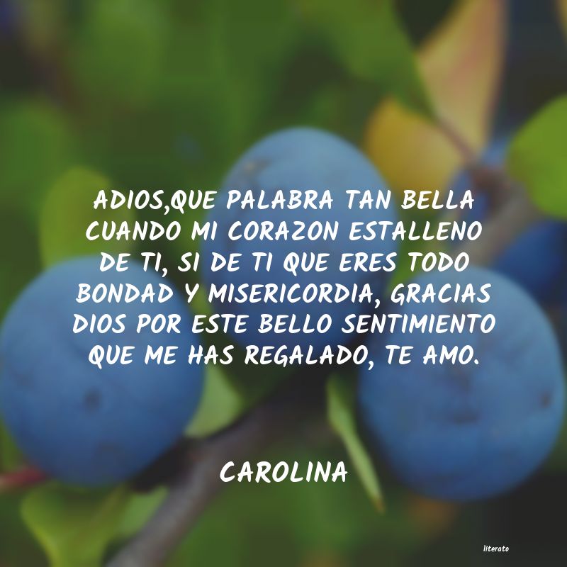 frases de CAROLINA
