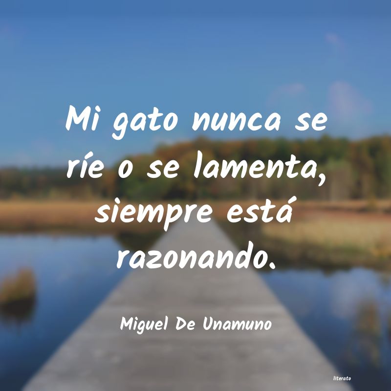 Frases de Miguel De Unamuno