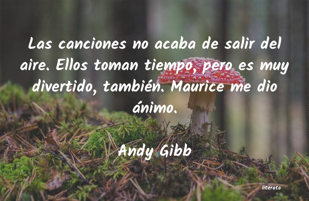 Frases de Andy Gibb