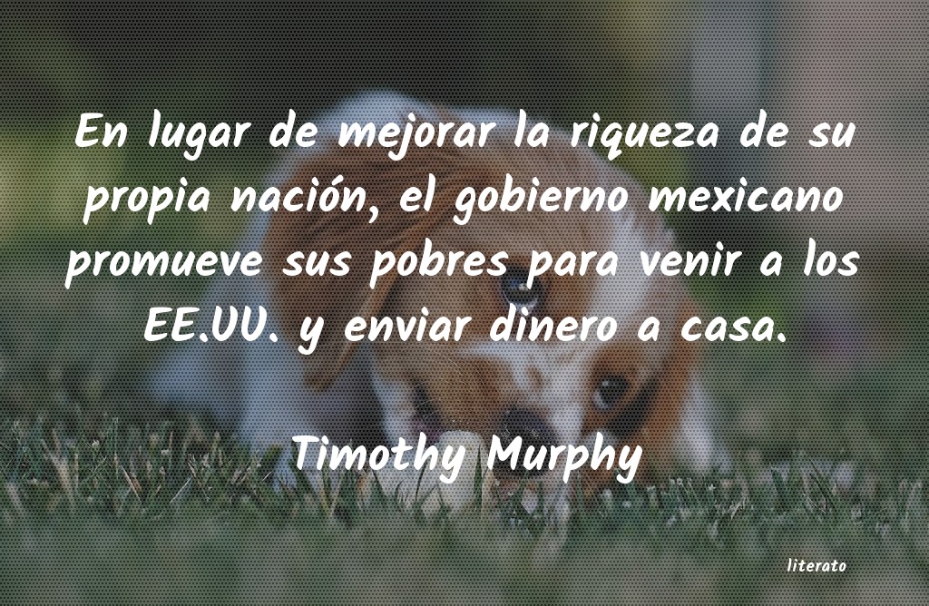 Frases de Timothy Murphy