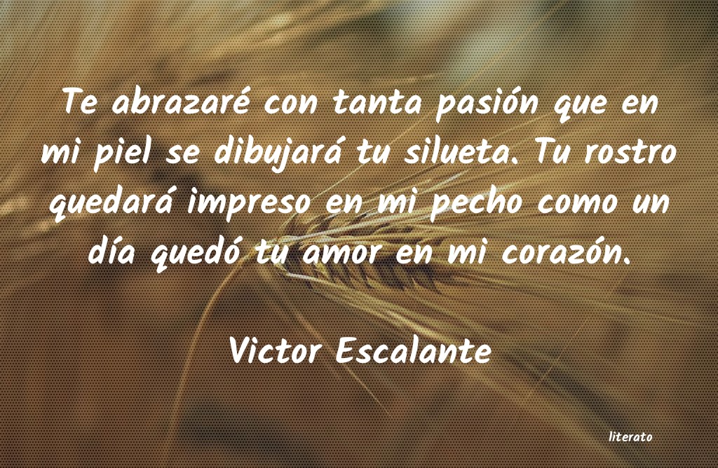 Frases de Victor Escalante