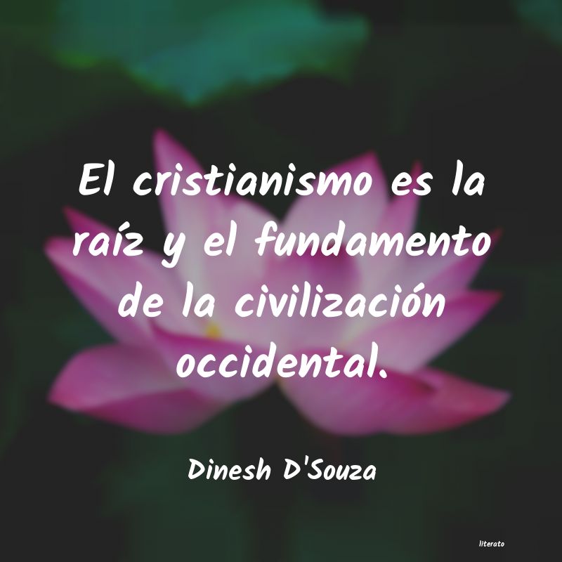 Frases de Dinesh D'Souza