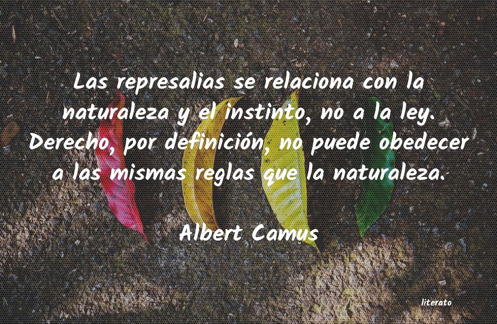 Frases de Albert Camus