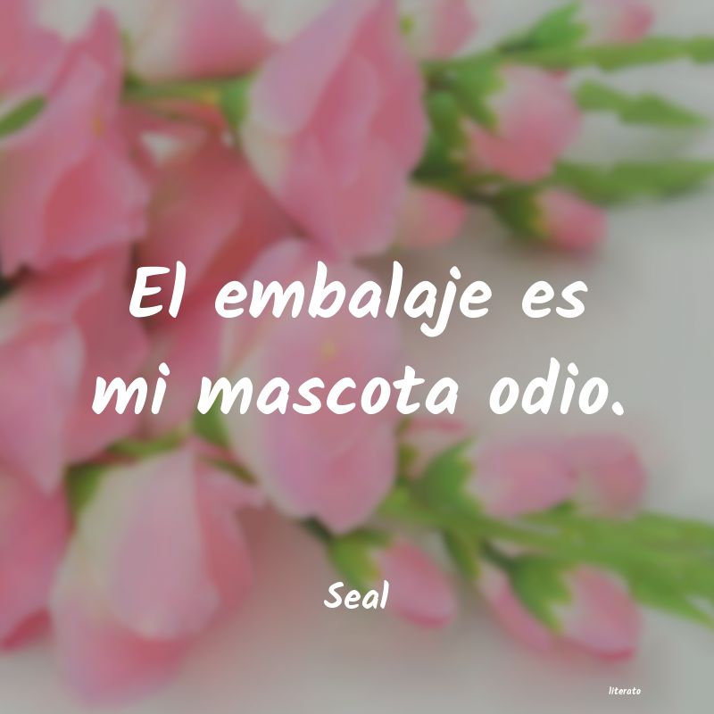 Frases de Seal