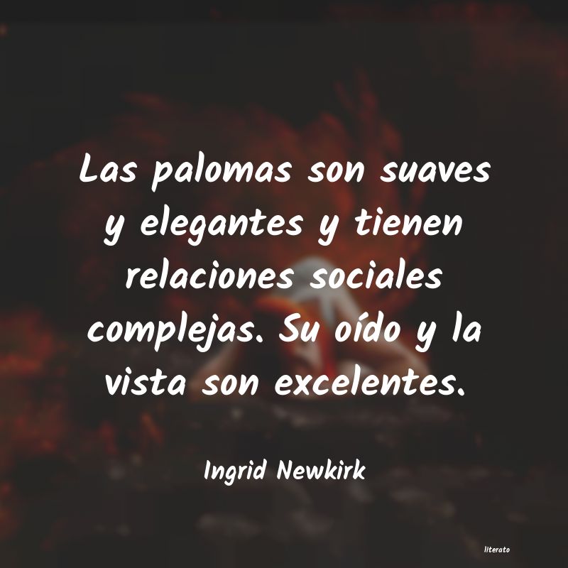 Frases de Ingrid Newkirk