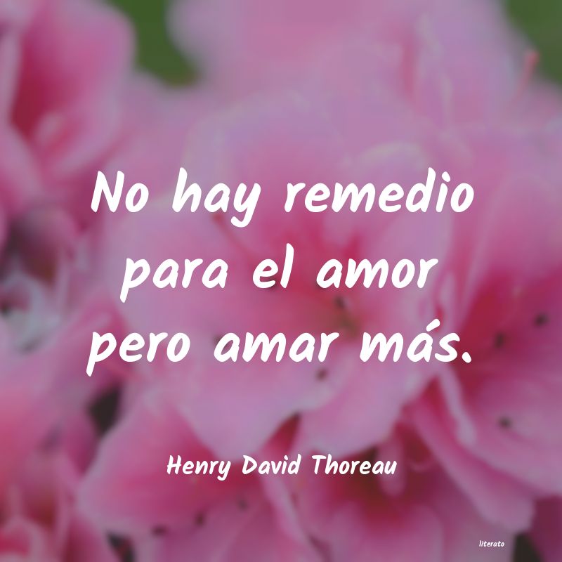 frases de Henry David Thoreau