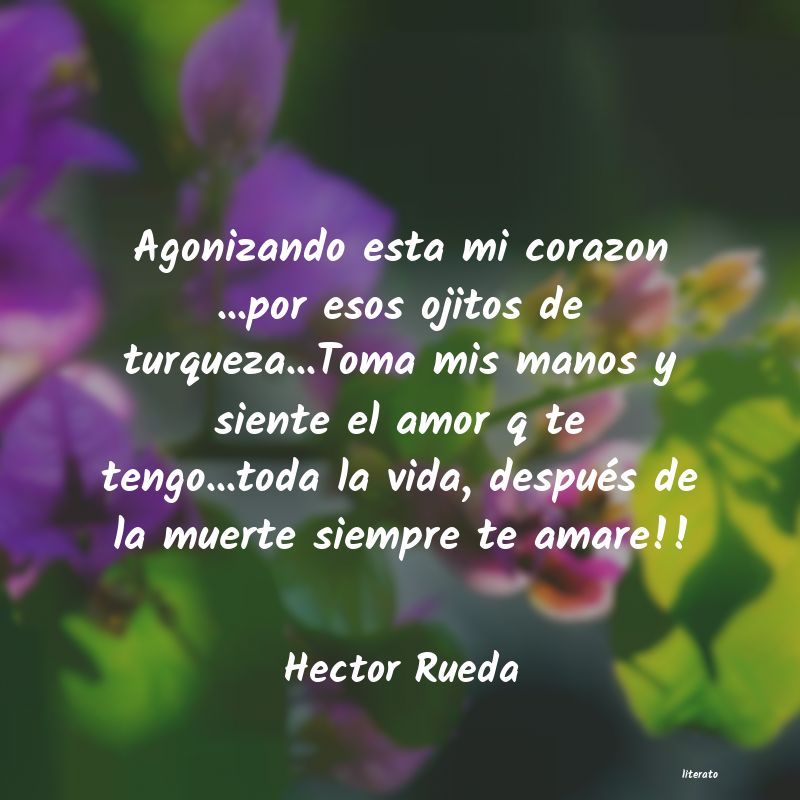 Frases de Hector Rueda