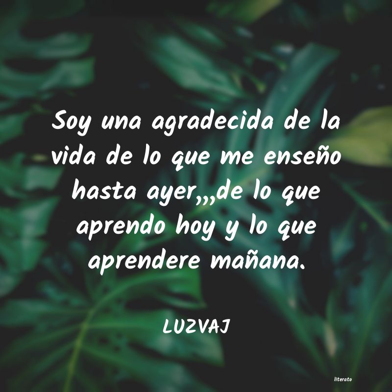 Frases de LUZVAJ