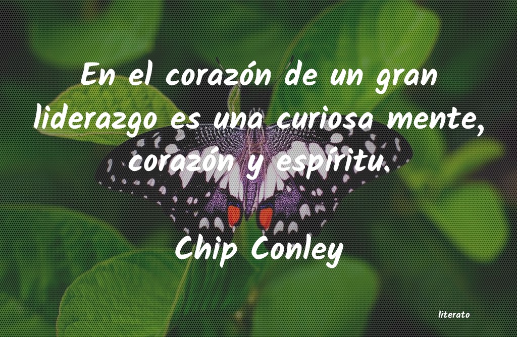 frases de Chip Conley
