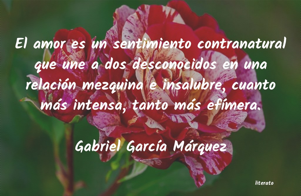 frases de Gabriel GarcÃa Márquez