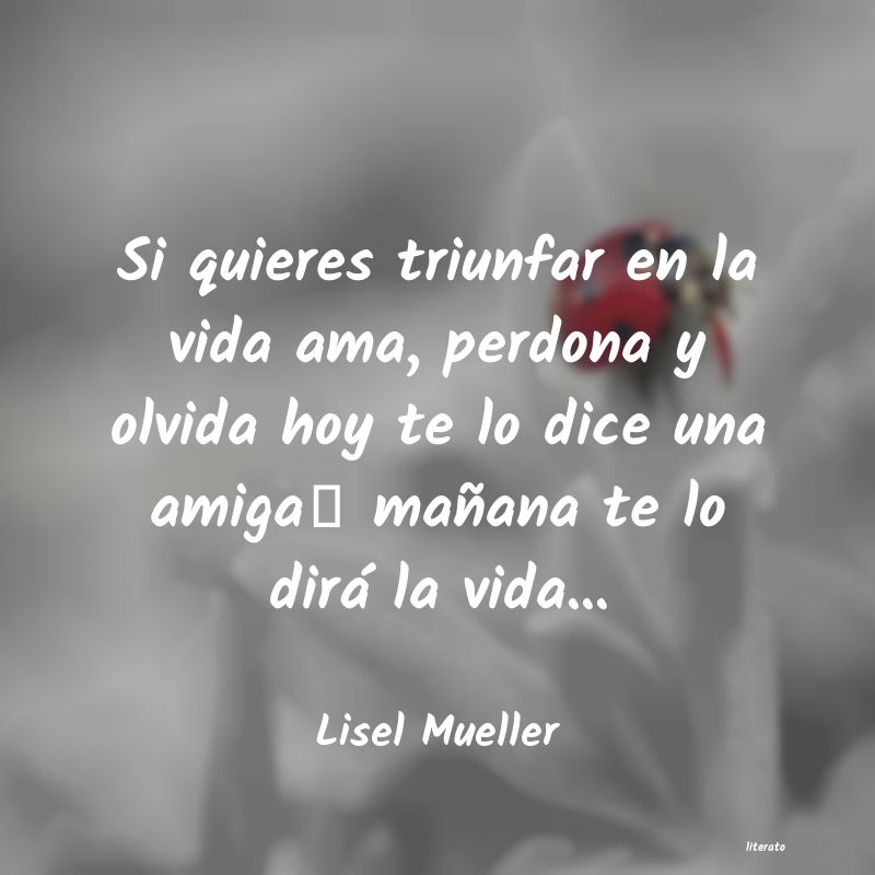 Frases de Lisel Mueller