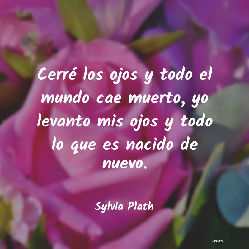 Frases de Sylvia Plath