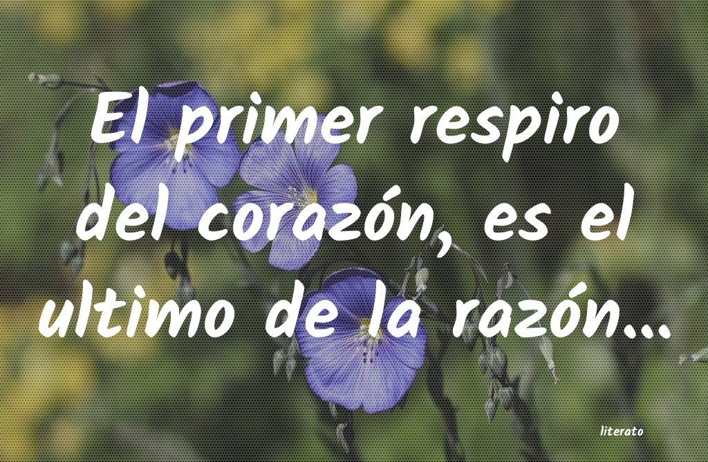 Frases de