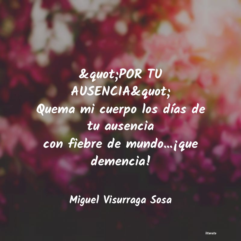frases de Miguel Visurraga Sosa