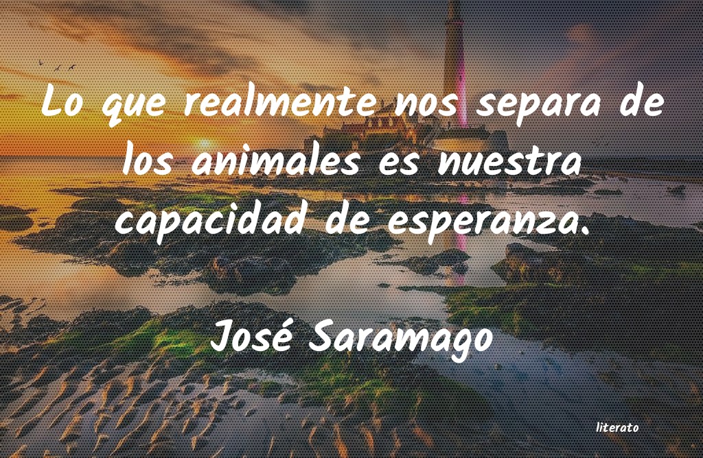 frases de José Saramago