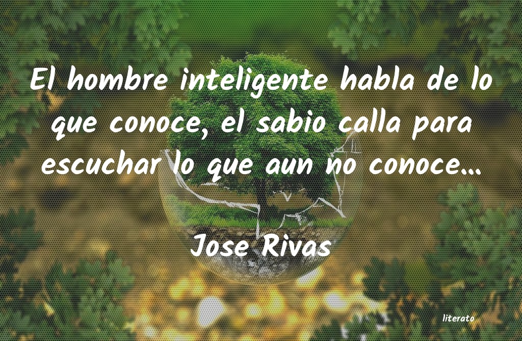 frases de Jose Rivas