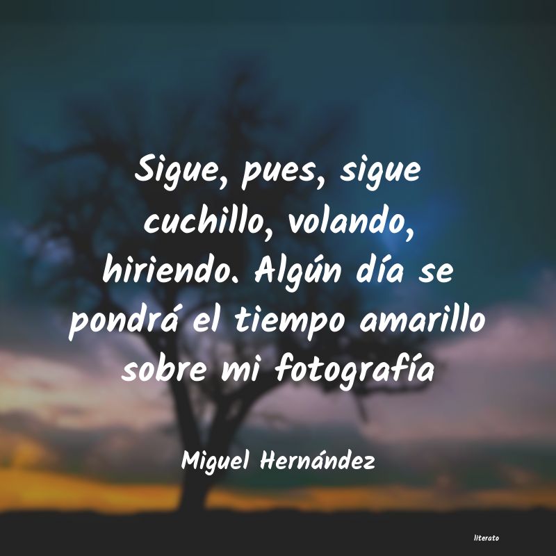 Frases de Miguel Hernández