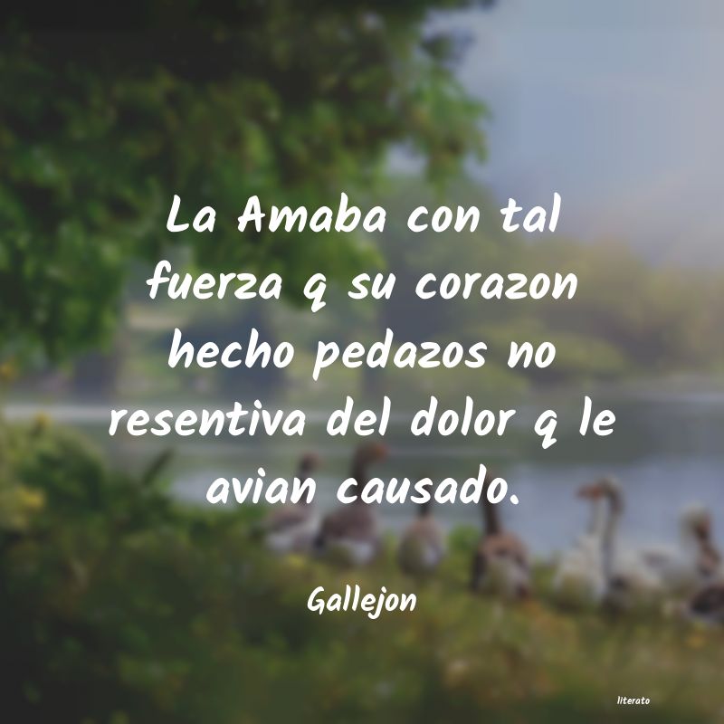 frases de Gallejon