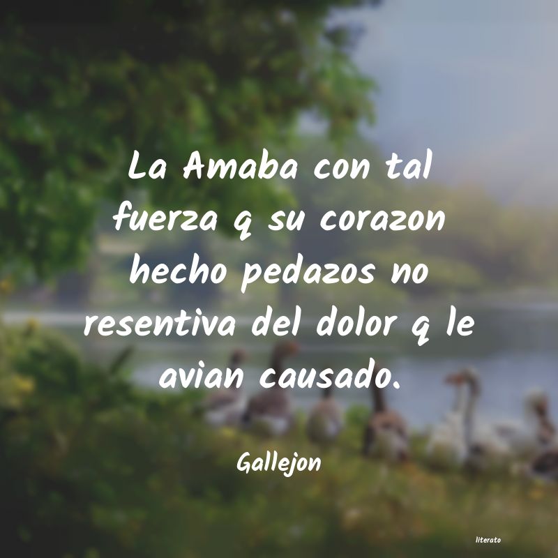 Frases de Gallejon