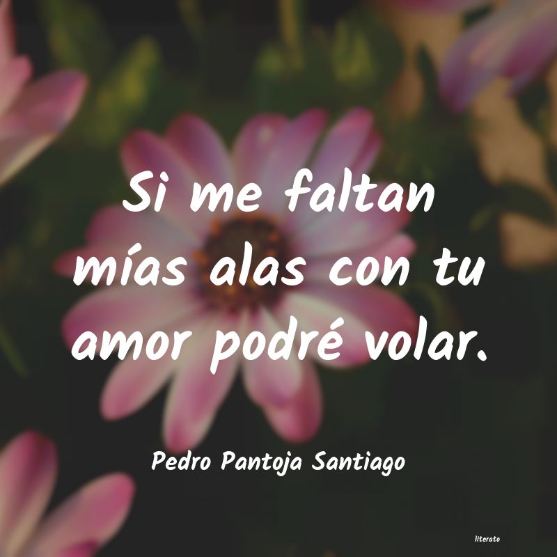 Frases de Pedro Pantoja Santiago