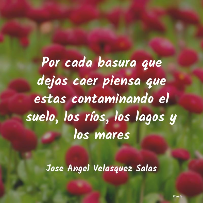 Frases de Jose Angel Velasquez Salas