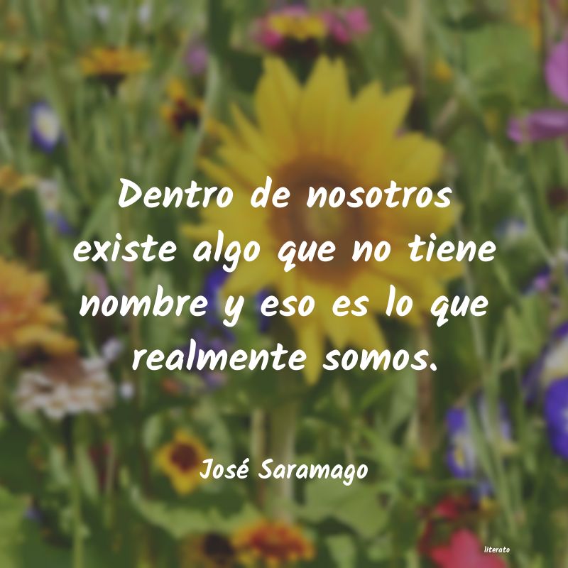 Frases de José Saramago